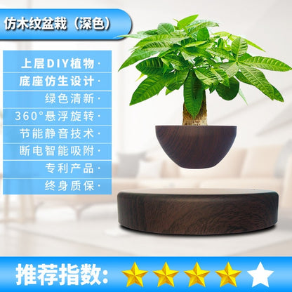 Anti-Gravity levitating LED Globe Figurines